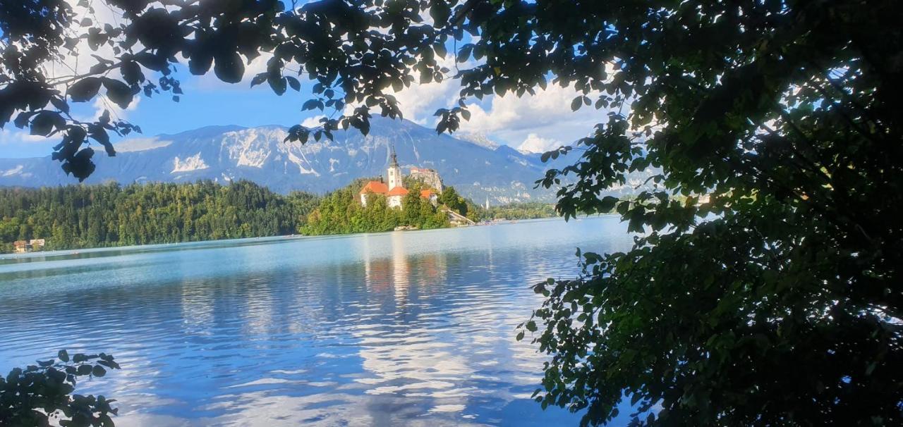 Apartmán Apartma Panorama Bled Exteriér fotografie