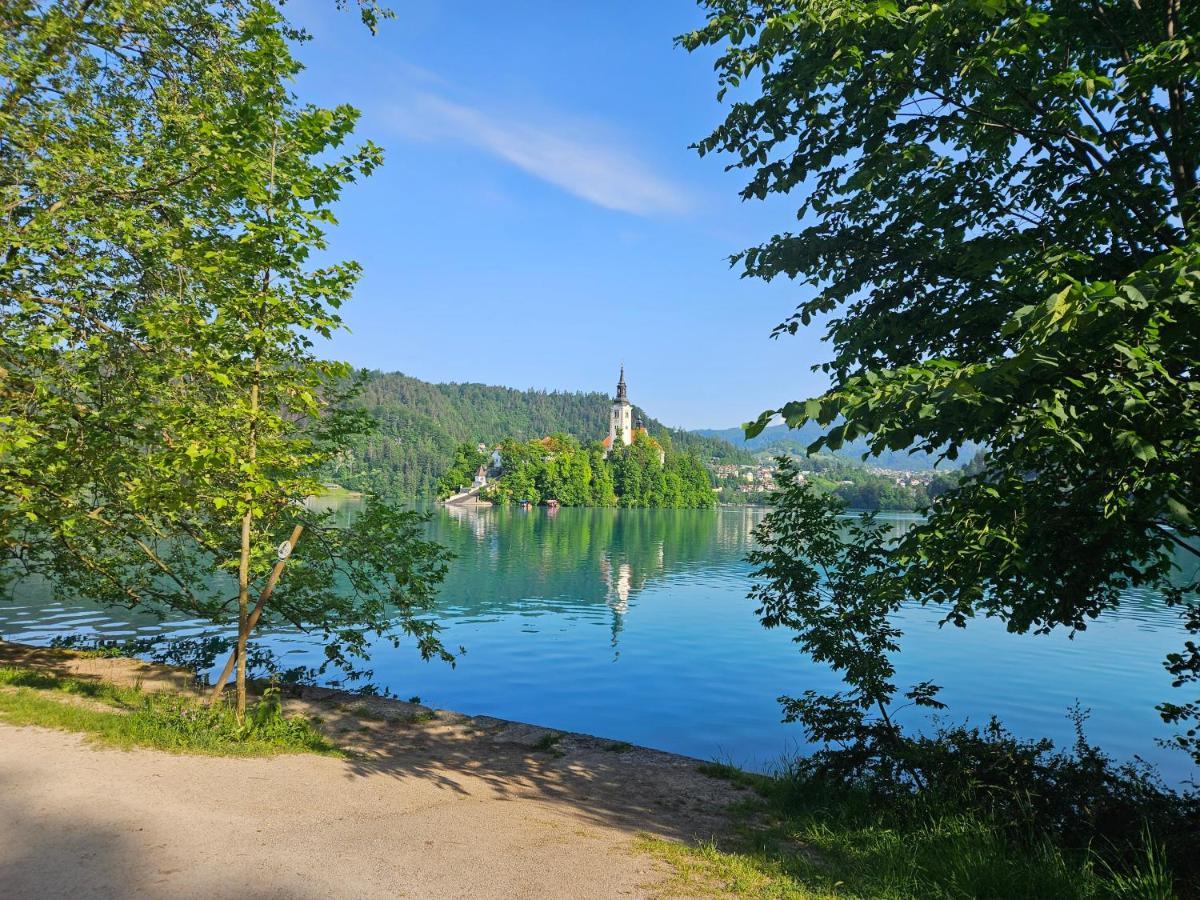 Apartmán Apartma Panorama Bled Exteriér fotografie